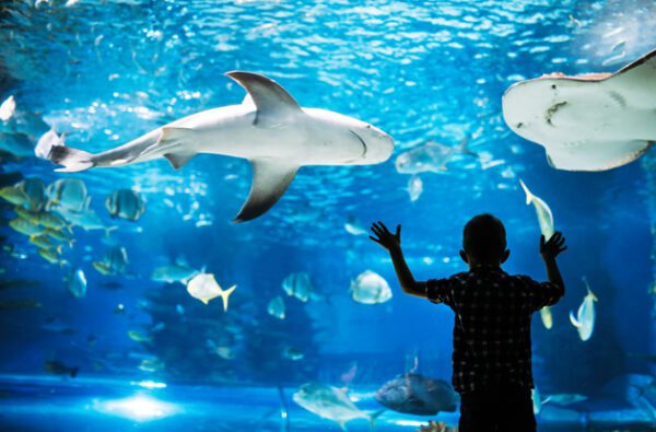 03/20/25 Adventure Aquarium (Day Trip) 8am-4pm